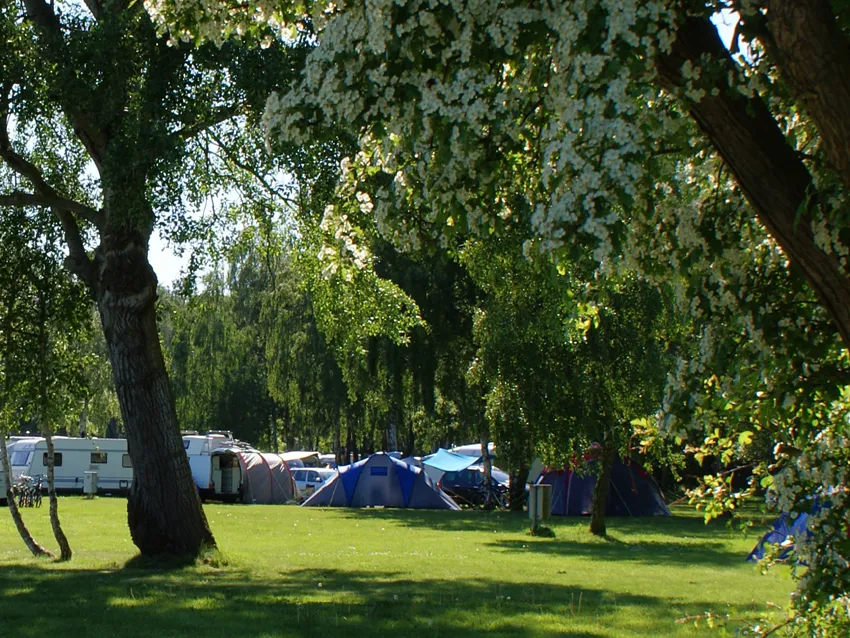 ostseecamp-dierhagen-gbr-dierhagen-uqzgo