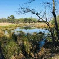 camping-holsteenbron-zonhoven-4kk31