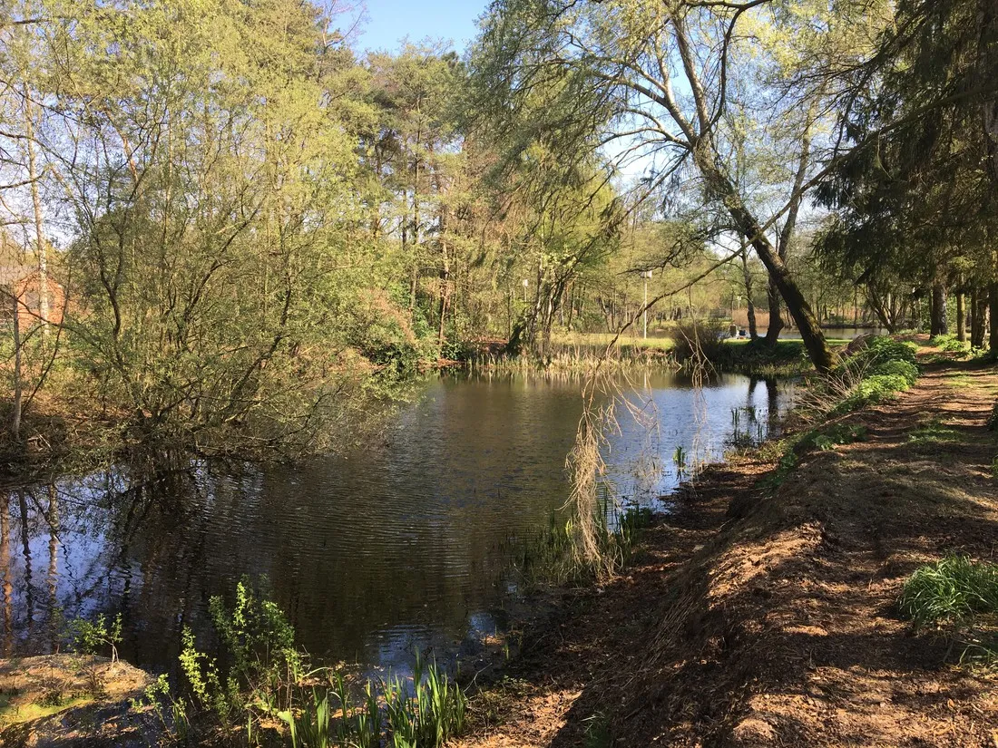 camping-holsteenbron-zonhoven-sjah8