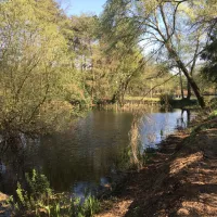 camping-holsteenbron-zonhoven-sjah8