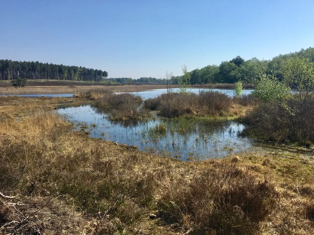 camping-holsteenbron-zonhoven-wp0uh