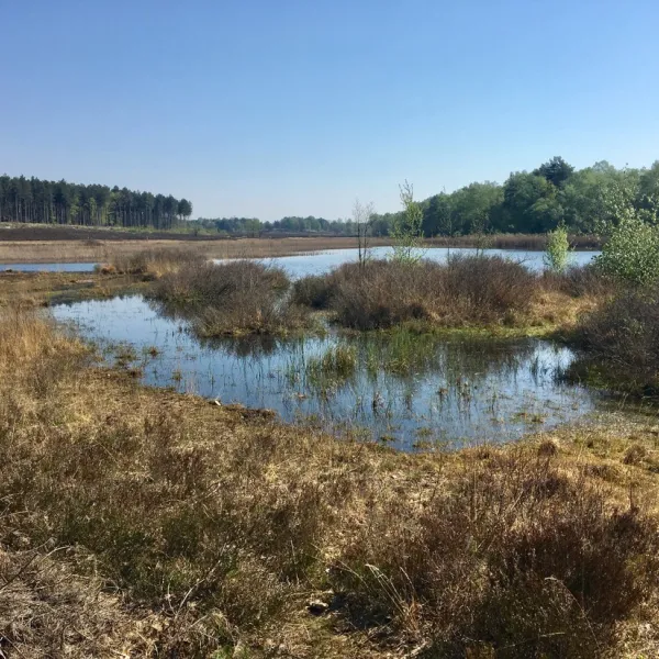 camping-holsteenbron-zonhoven-wp0uh