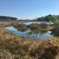 camping-holsteenbron-zonhoven-wp0uh