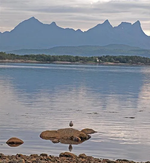 nafcamping-ulvsvaag-ulvsvaag-zodpq