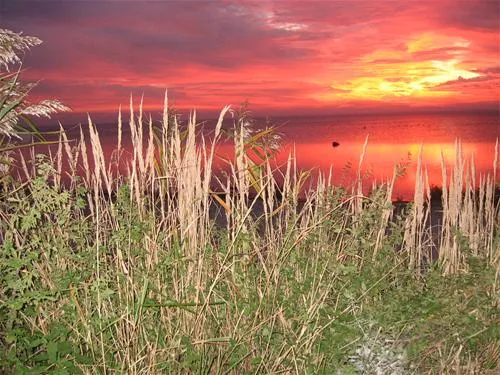 camping-am-schaproder-bodden-schaprode-hynyu