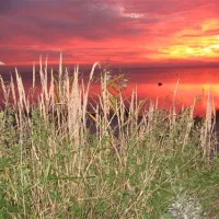 camping-am-schaproder-bodden-schaprode-hynyu