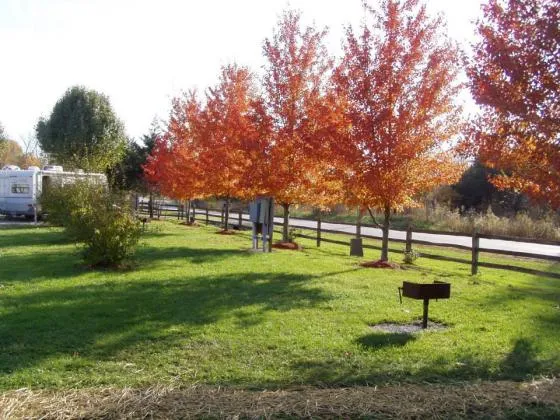 cottonwoods-rv-park-columbia-w2vzl