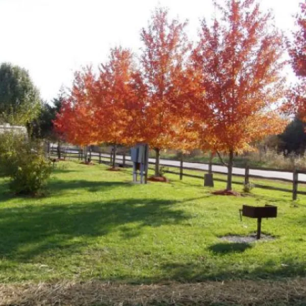 cottonwoods-rv-park-columbia-w2vzl