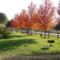 cottonwoods-rv-park-columbia-w2vzl