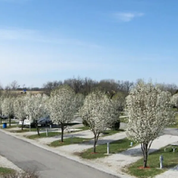 Cottonwoods RV Park