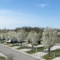 Cottonwoods RV Park