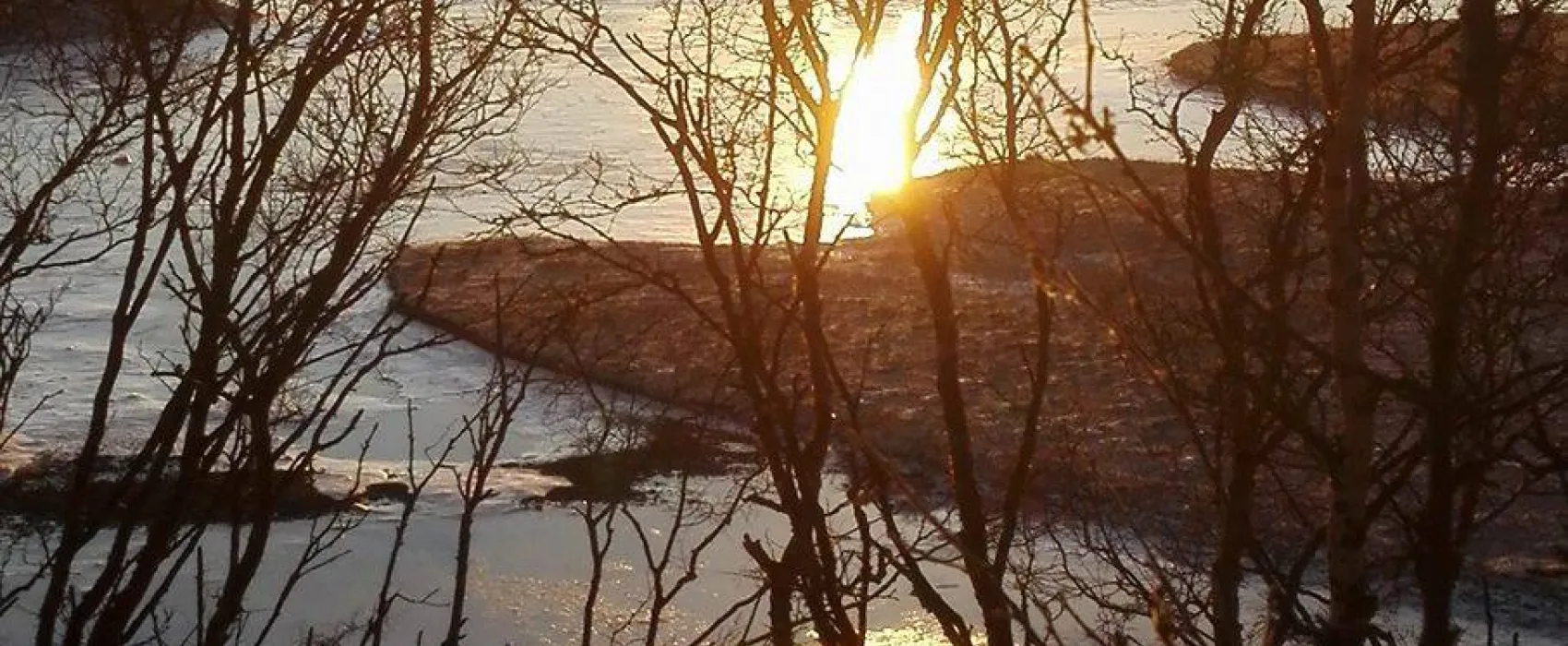 Vestre Jakobselv Camping