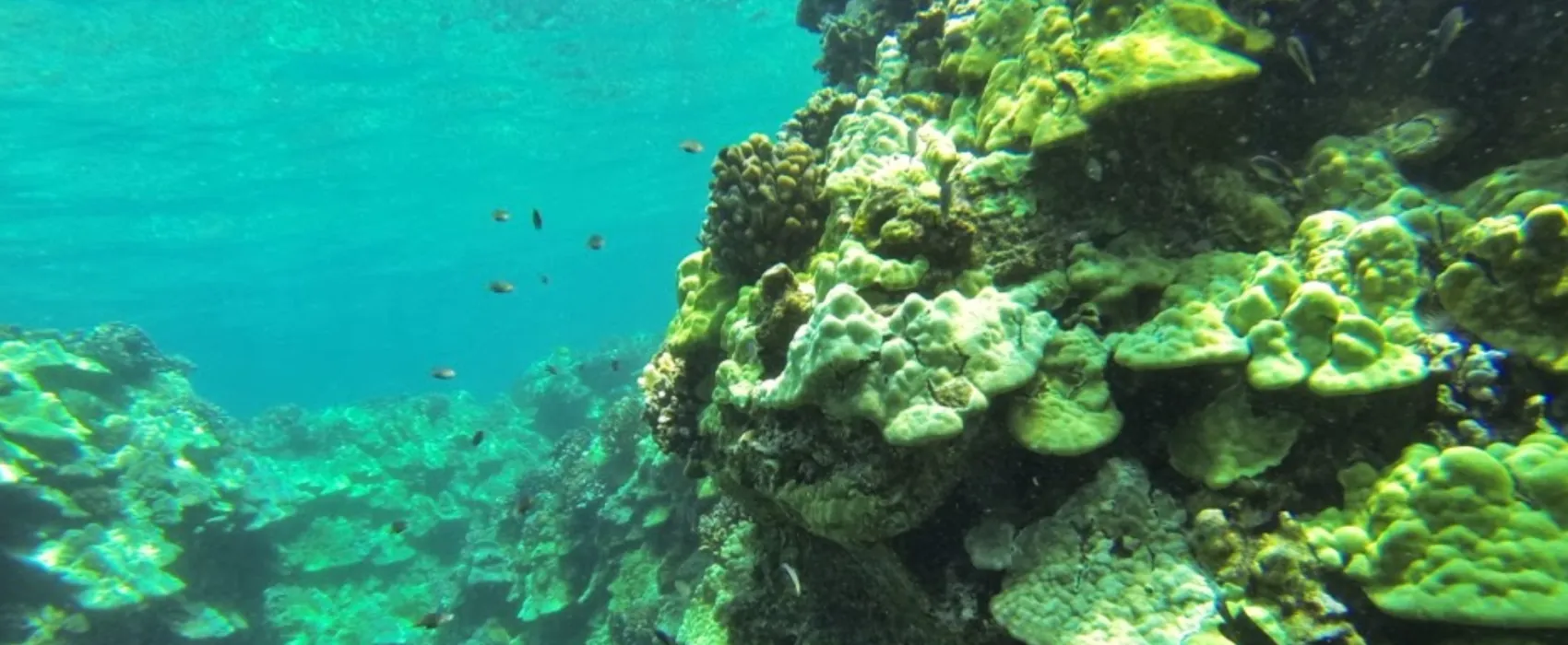 Camp Ho'okena