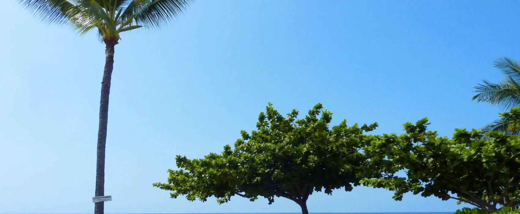 Camp Ho'okena