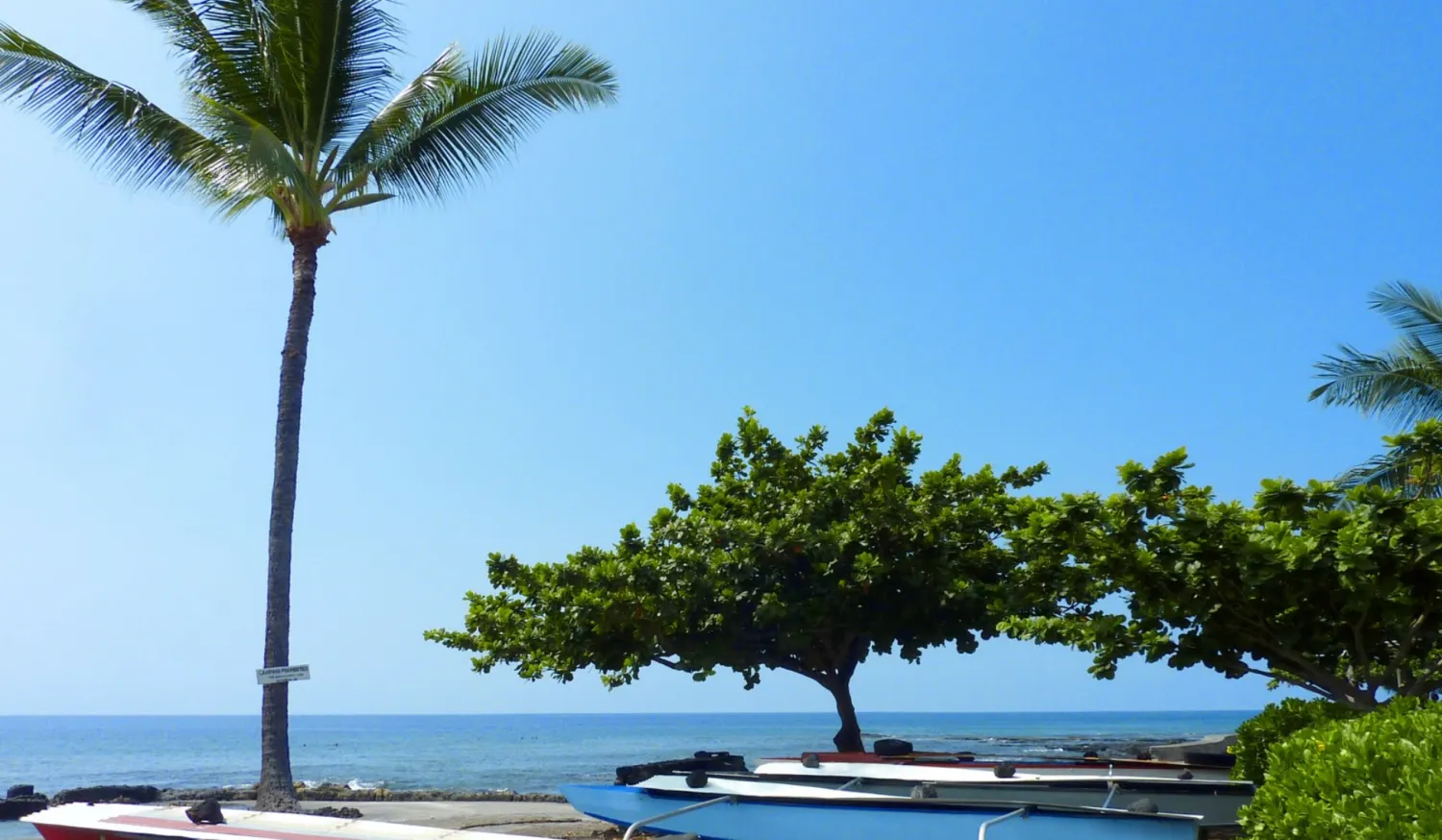 camp-hookena-honaunau-hawaii-mfkuf