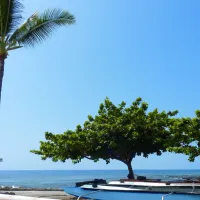 camp-hookena-honaunau-hawaii-mfkuf