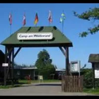 Camp am Waldesrand