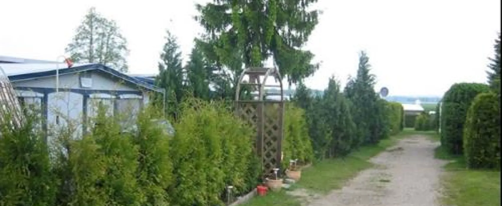 Camp am Waldesrand