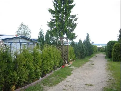 camp-am-waldesrand-brietlingen-ldershausen-xr0w9