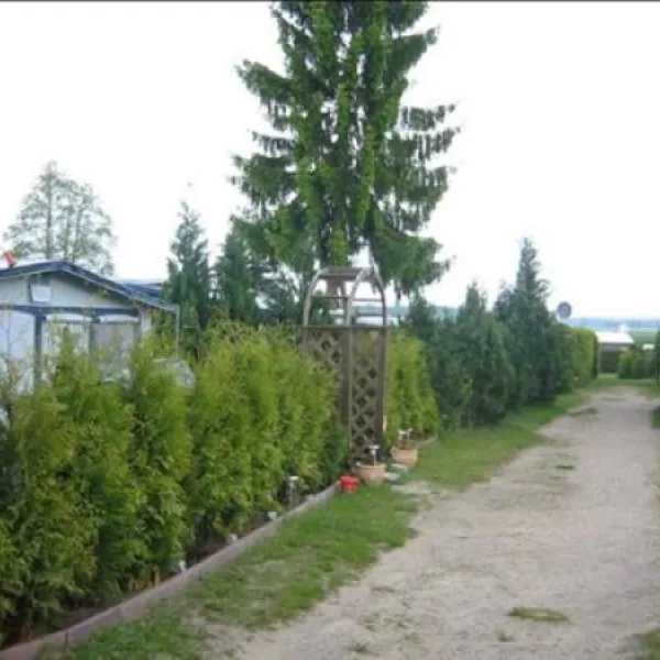 camp-am-waldesrand-brietlingen-ldershausen-xr0w9