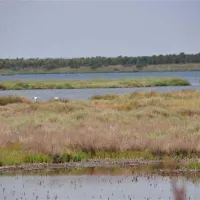 camping-sena-arrubia-arborea-mkbns