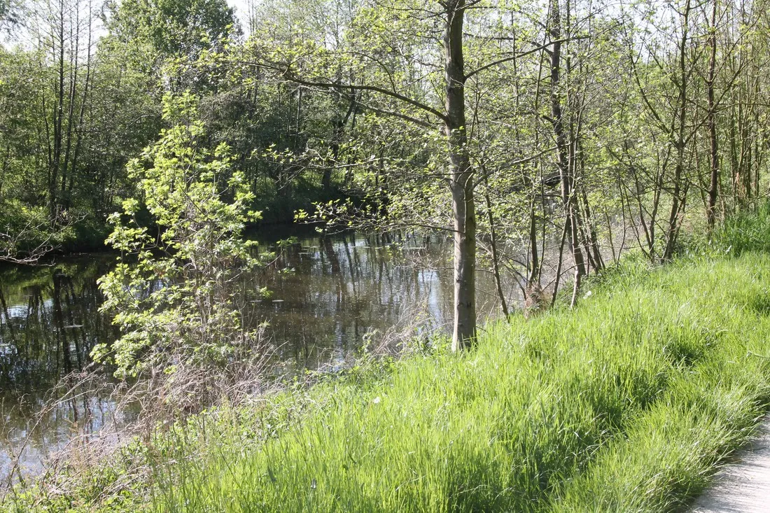 minicamping-het-brook-denekamp-zsh1d