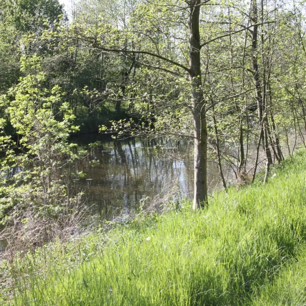 minicamping-het-brook-denekamp-zsh1d