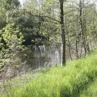 minicamping-het-brook-denekamp-zsh1d