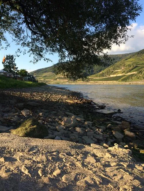 camping-marienort-trechtingshausen-tsopt