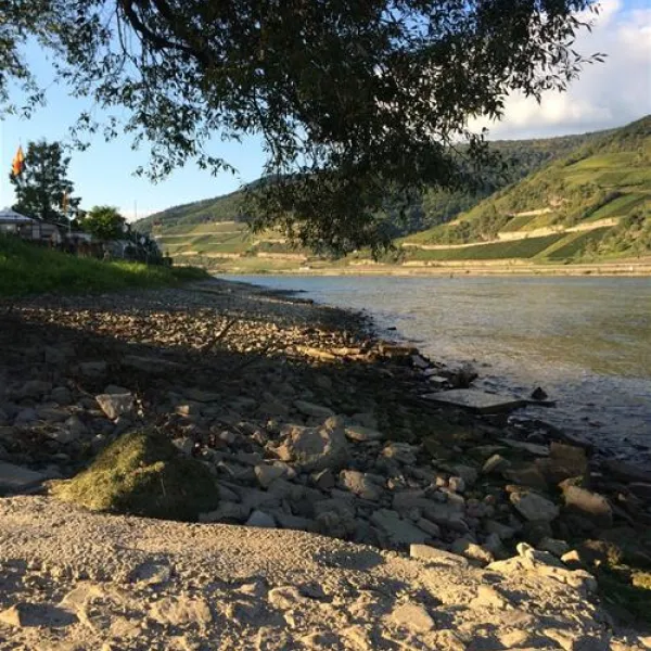 camping-marienort-trechtingshausen-tsopt