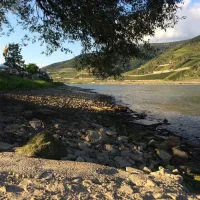 camping-marienort-trechtingshausen-tsopt