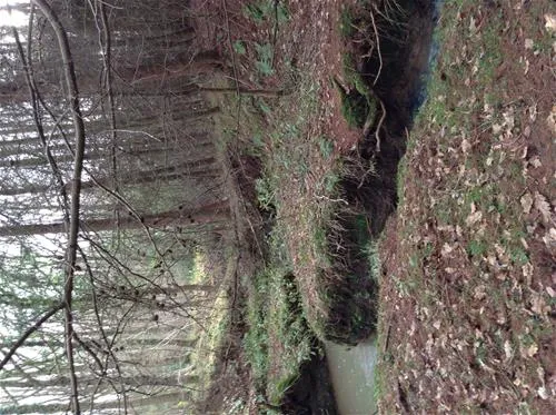 the-high-hermitage-caravan-park-prudhoe-vqkyq