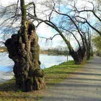 camping-sokol-troja-praha-7-uplot