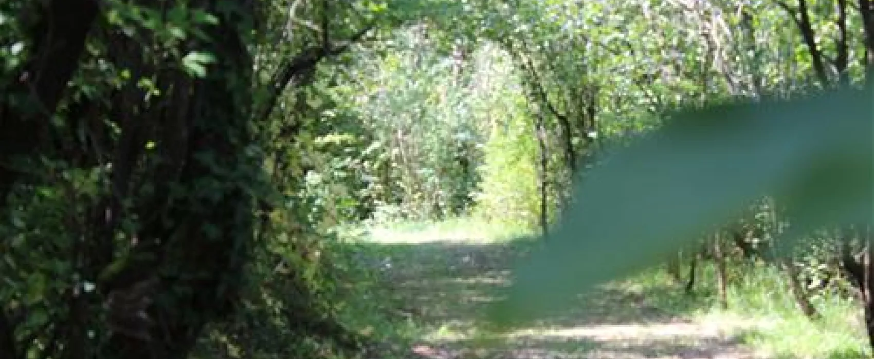 Country Camping
