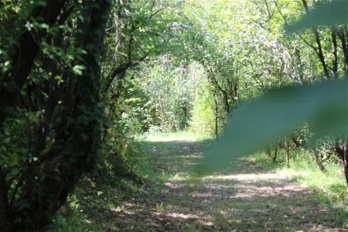 country-camping-gaillac-toulza-mequ3