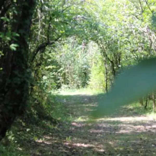country-camping-gaillac-toulza-mequ3