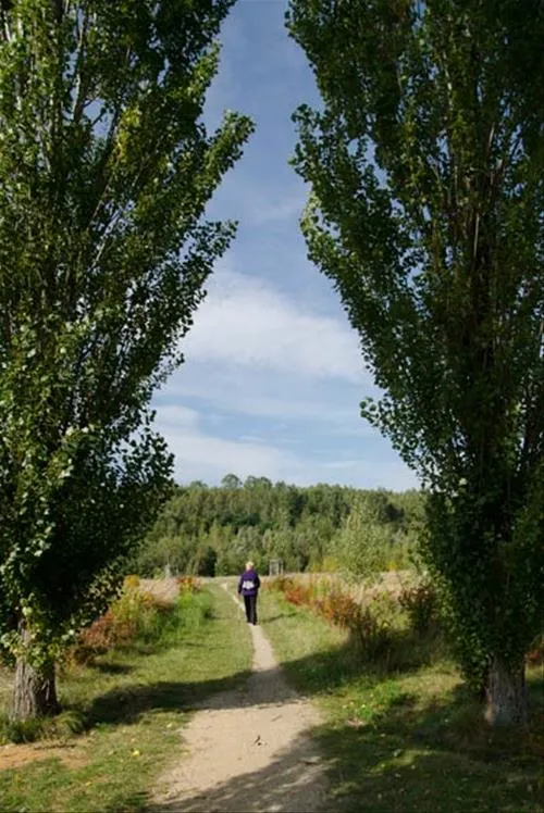 seecamping-zittauer-gebirge-olbersdorf-bei-zittau-9zrtb