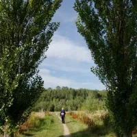 SeeCamping Zittauer Gebirge