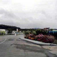 seecamping-zittauer-gebirge-olbersdorf-bei-zittau-to98l