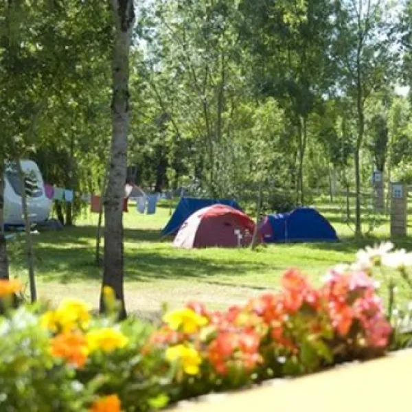 flower-camping-le-lidon-saint-hilaire-la-palud-bsyjy