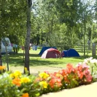 flower-camping-le-lidon-saint-hilaire-la-palud-bsyjy