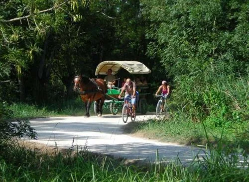 flower-camping-le-lidon-saint-hilaire-la-palud-g6yny
