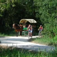 flower-camping-le-lidon-saint-hilaire-la-palud-g6yny