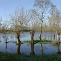 flower-camping-le-lidon-saint-hilaire-la-palud-gp3qp