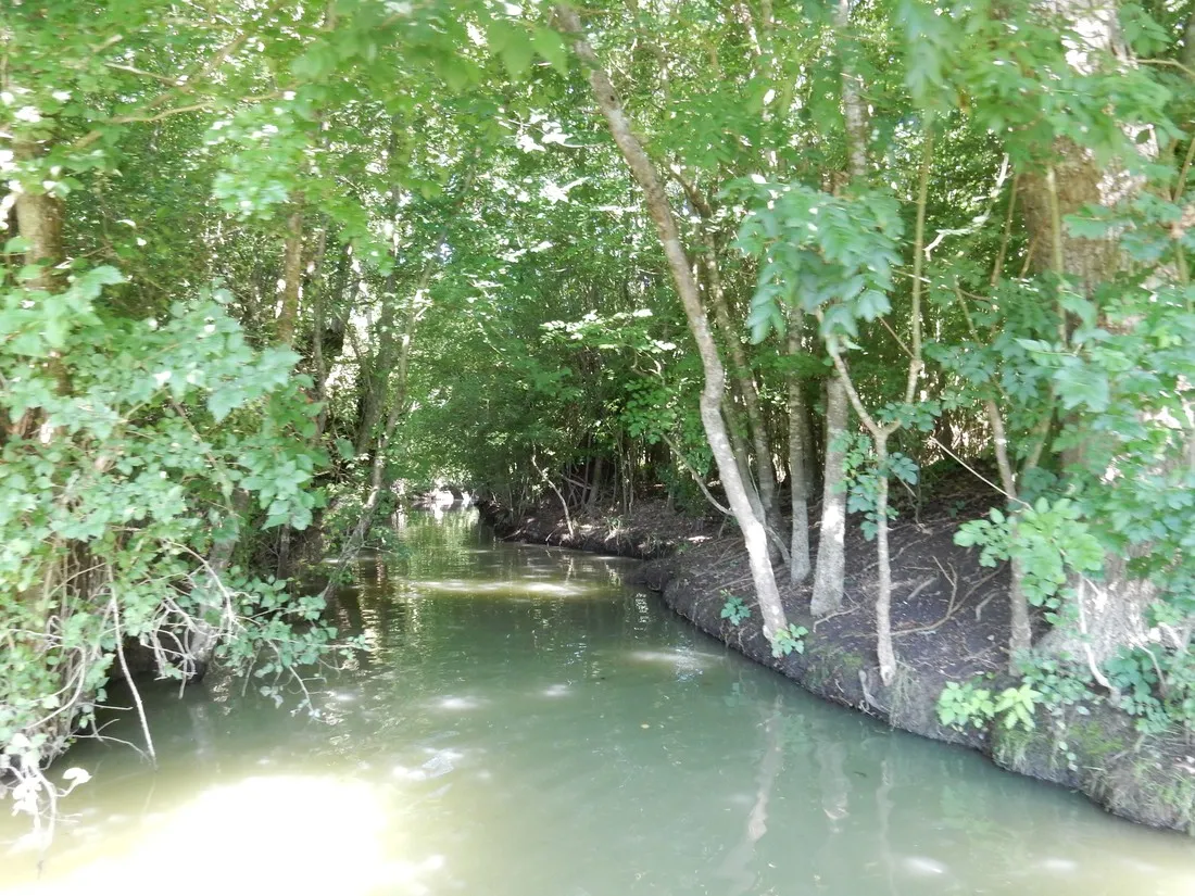 flower-camping-le-lidon-saint-hilaire-la-palud-jd85o