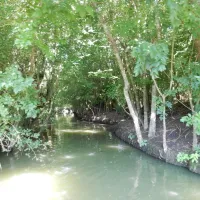 flower-camping-le-lidon-saint-hilaire-la-palud-jd85o