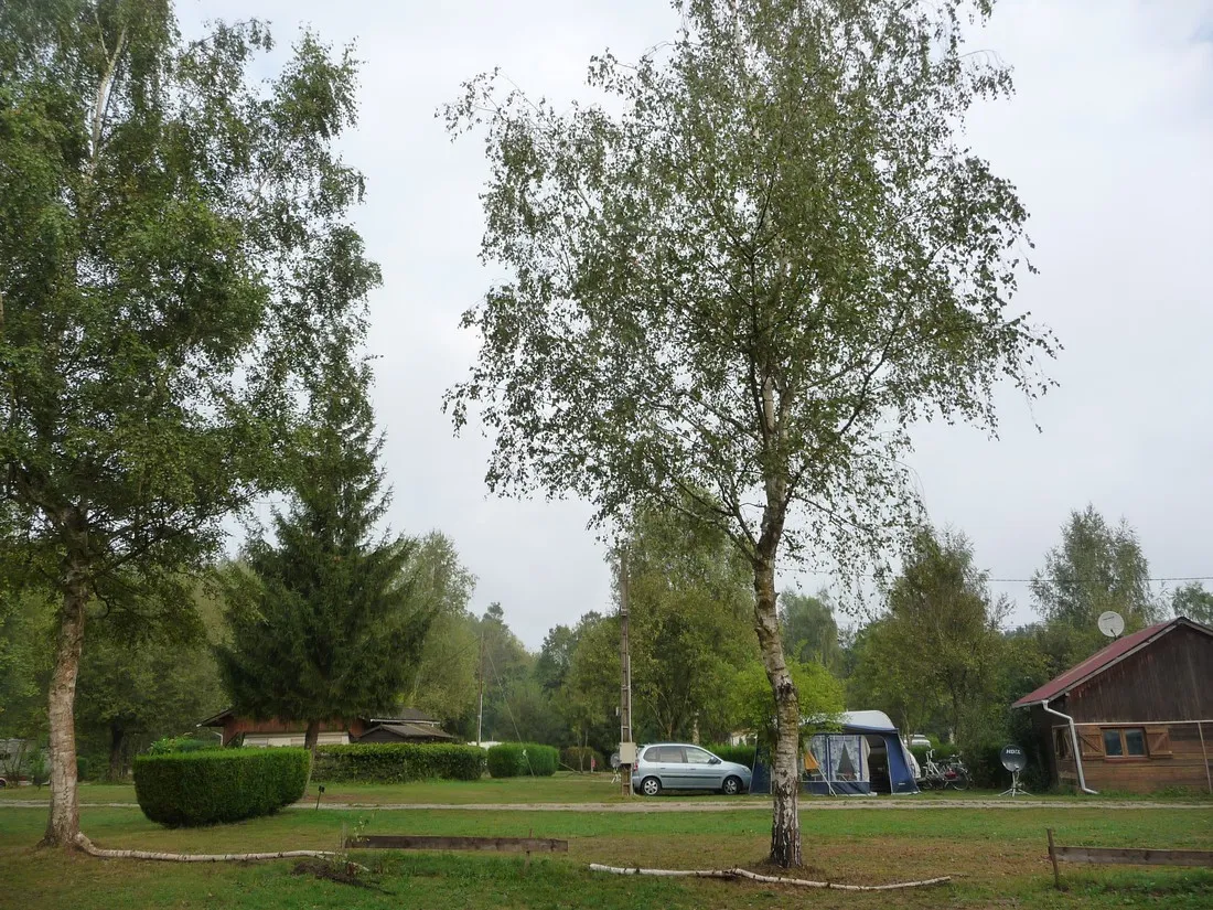 camping-les-bouleaux-vilsberg-cziw2