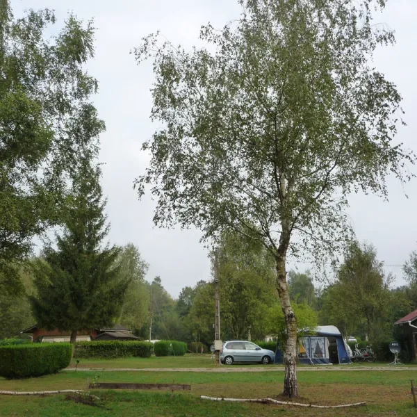 camping-les-bouleaux-vilsberg-cziw2
