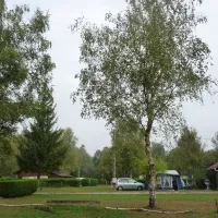 camping-les-bouleaux-vilsberg-cziw2