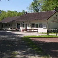 camping-les-bouleaux-vilsberg-roghd